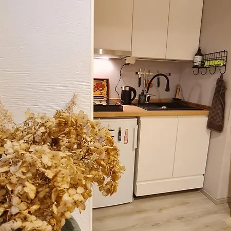 Cozy Island Apartment In Porvoo Διαμέρισμα Πόρβο