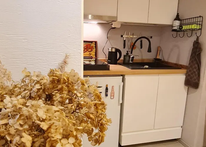 Old In Appartamento Porvoo