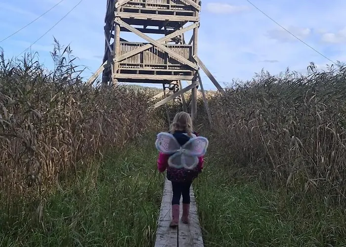 Old In Appartement Porvoo